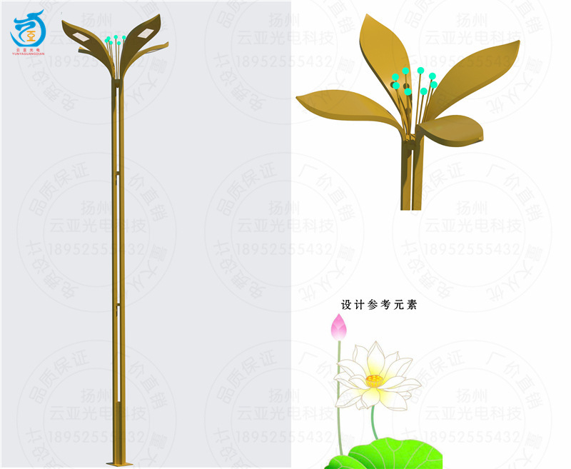 荷花01.jpg